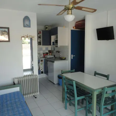 Appt Climatise, 4 Pers, Piscine Et Parking - - Fr-1-250-300 Le Grau-du-Roi