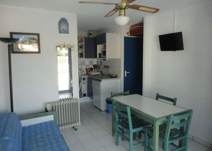 Appt Climatise, 4 Pers, Piscine Et Parking - - Fr-1-250-300 Le Grau-du-Roi