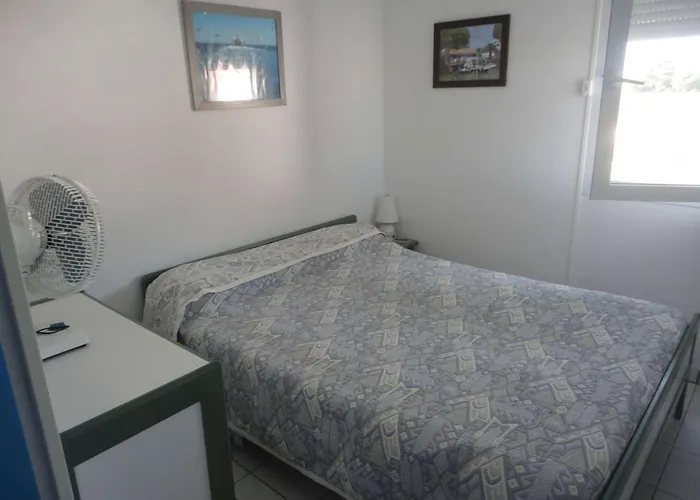 Appartement Appt Climatise, 4 Pers, Piscine Et Parking - - Fr-1-250-300 Le Grau-du-Roi